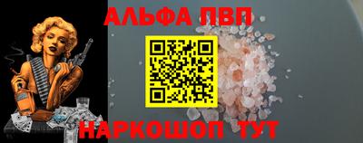 СК Бийск