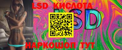 СК Бийск