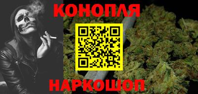СК Бийск