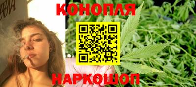 сатива Беслан