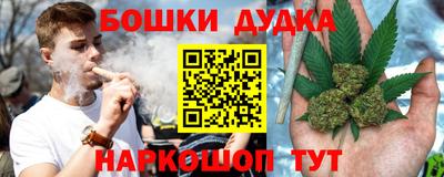 сатива Беслан