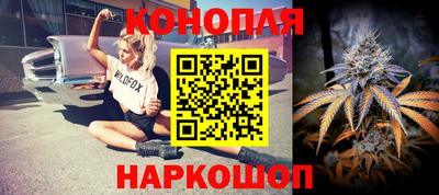 СК Бийск