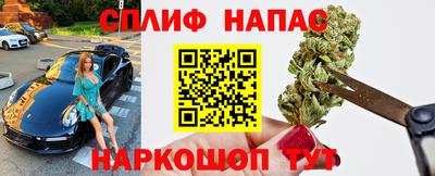 сатива Беслан