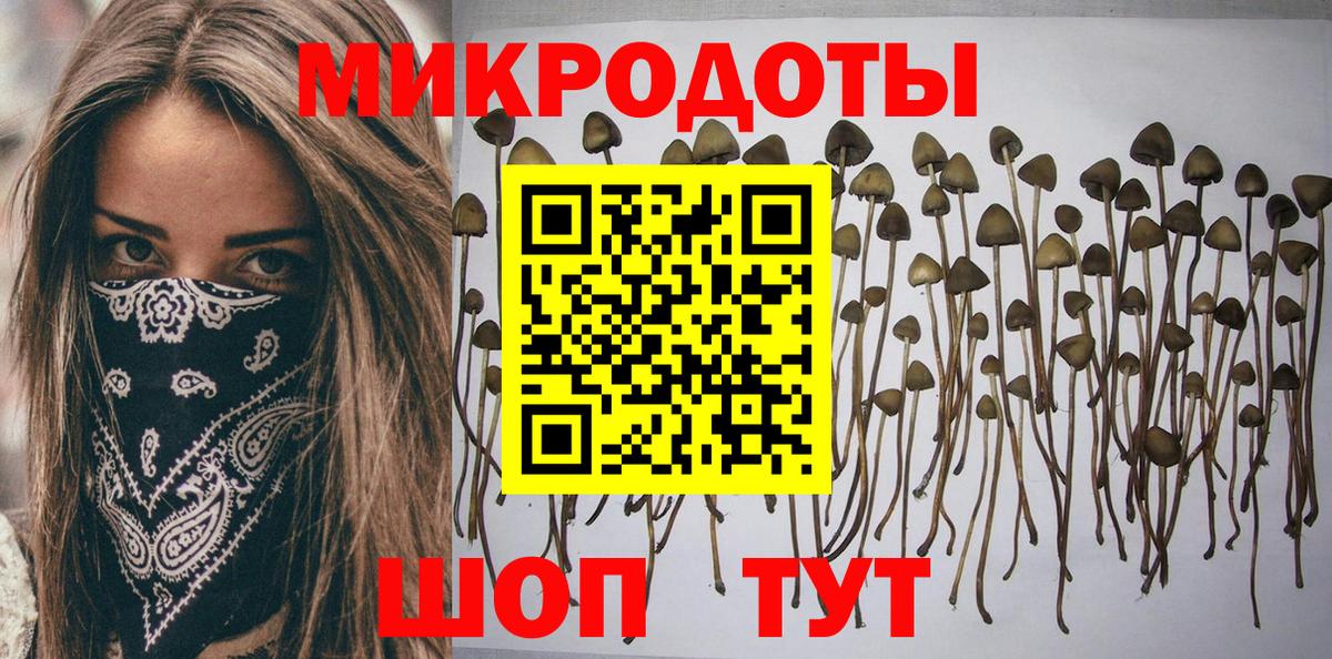 Псилоцибиновые грибы прущие грибы  Вход с VPN  Выборг  Галлюциногенные грибы Magic Shrooms 